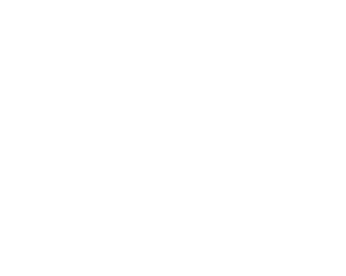 Opel Service Logo