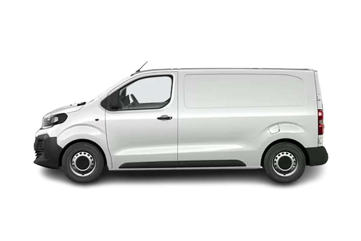 weißer Vivaro